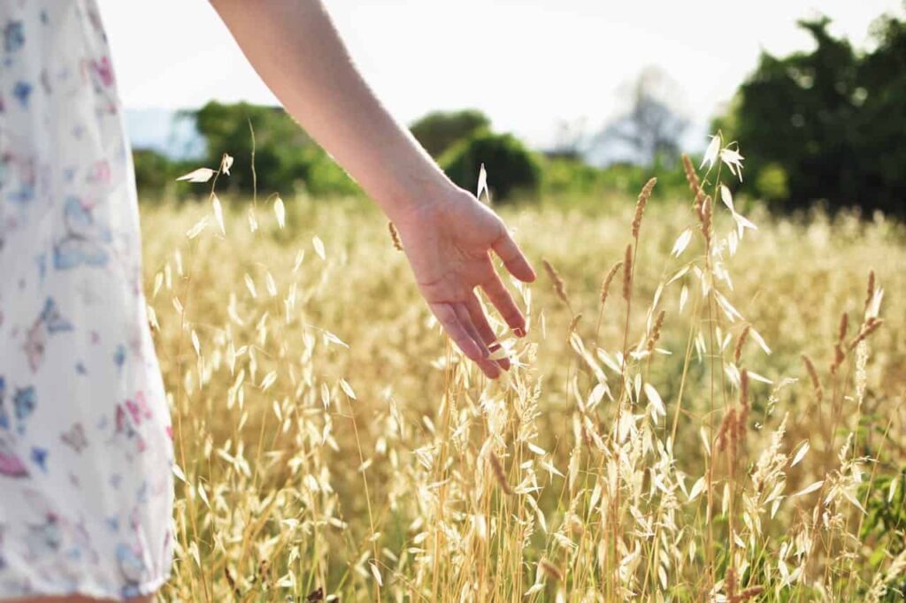 Healthy Homeopathy Blog - April 2026